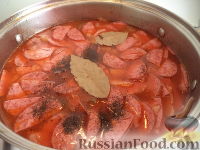 Солянка домашняя