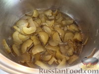 Солянка домашняя