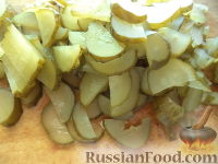 Солянка домашняя