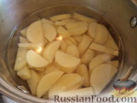 Солянка домашняя