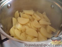 Солянка домашняя